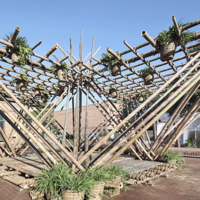 Rising Canes by Penda