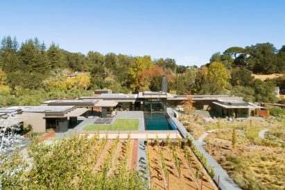 A vineyard features in the residence