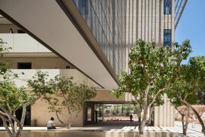 A courtyard with grapefruit trees