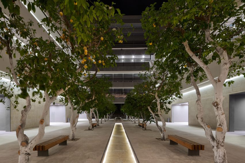 A tree-lined courtyard