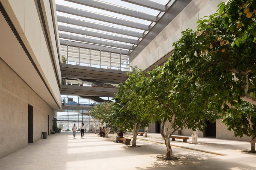 A tree-lined courtyard