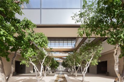 A courtyard with grapefruit trees