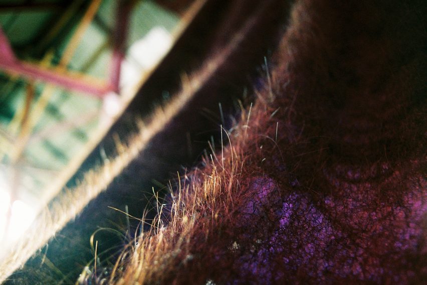 Hair felt created as part of Follicle, a project by Pareid at Bangkok Design Week