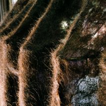 Hair felt created as part of Follicle, a project by Pareid at Bangkok Design Week
