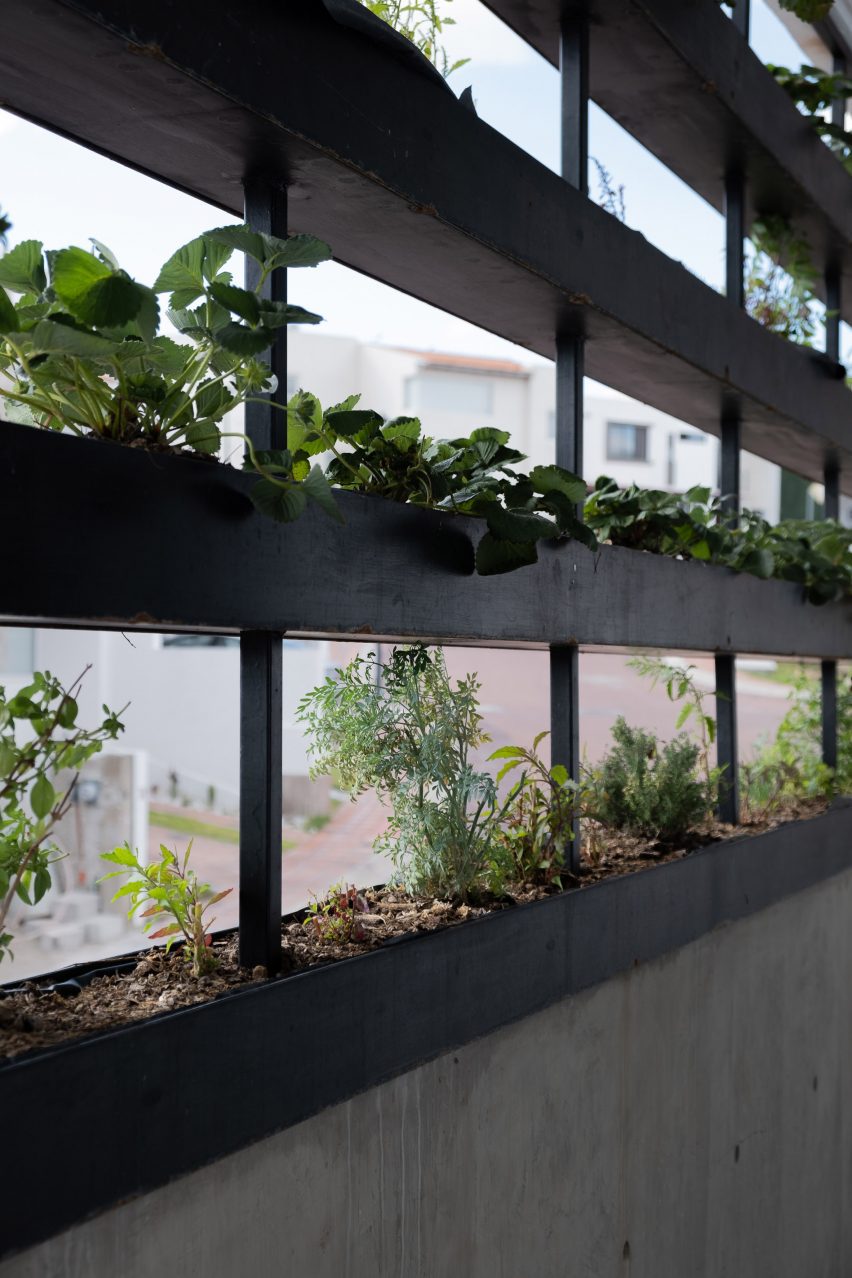 Frame House by Gestalt Associates