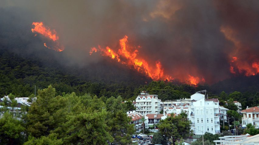 Wildfire in the forest near Marmaris in Turkey
