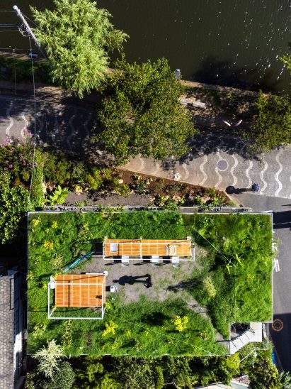 Green roof on Japanese house