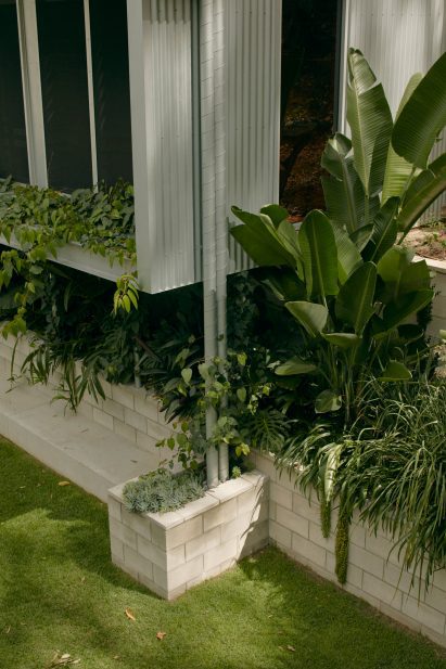 Greenery around corrugated facade of Mt Coot-Tha House