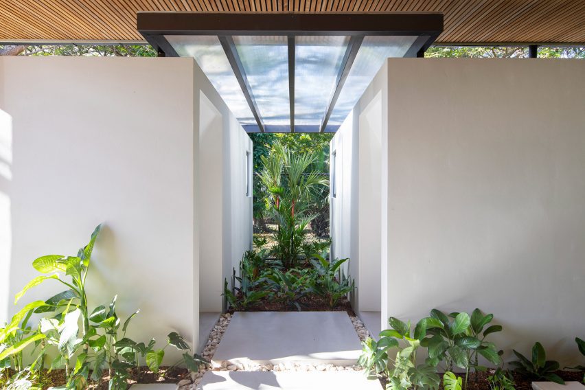 Naia by Studio Saxe