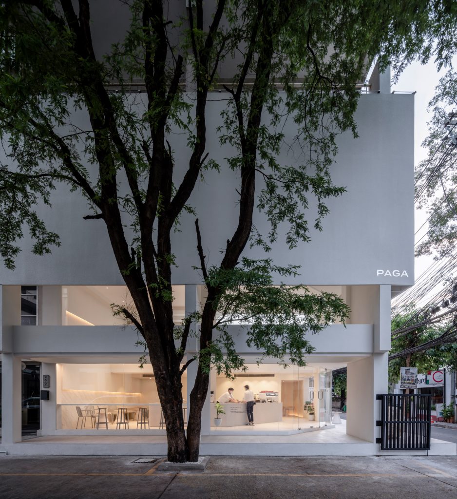 A white building behind a tree