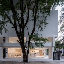 A white building behind a tree