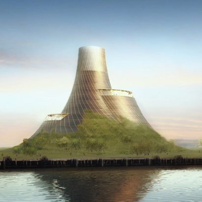 The plant has a grassy base