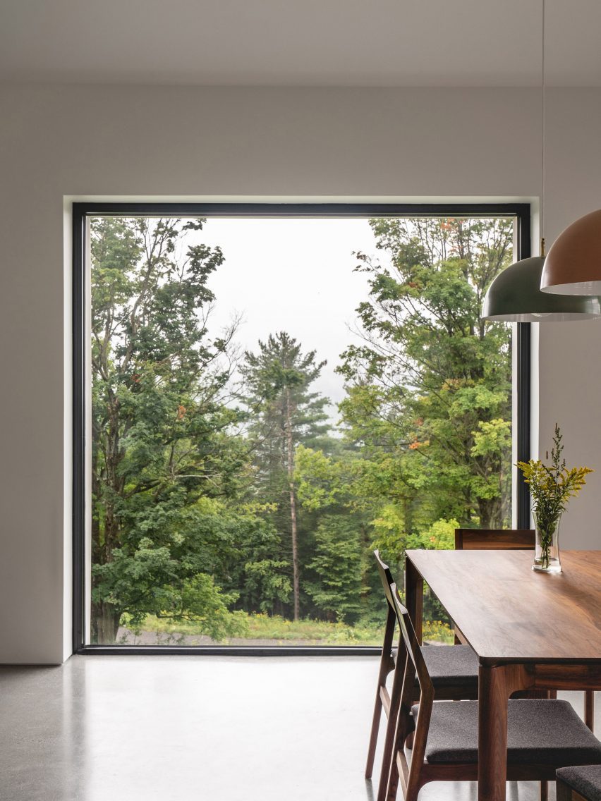 Forest view framed through dining room window