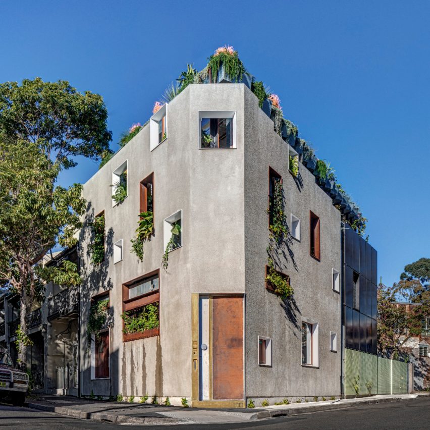 Welcome to the Jungle House