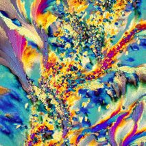 Microscopic photograph of No.3 Gin by Justin Zoll