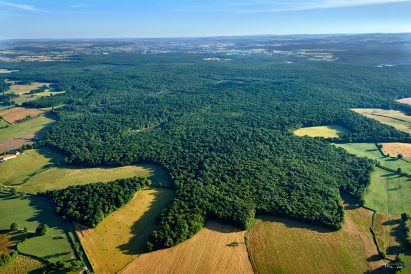 A bird's eye view of a forest in France