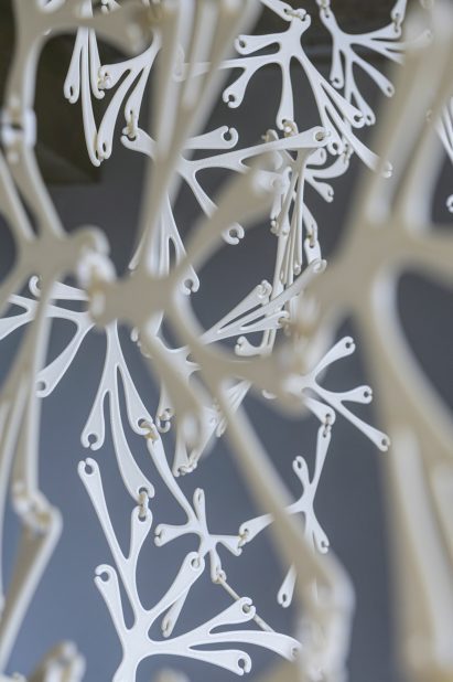 Bioplastic curtain