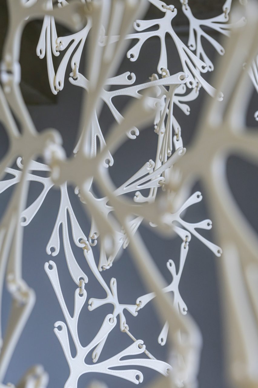 Bioplastic curtain