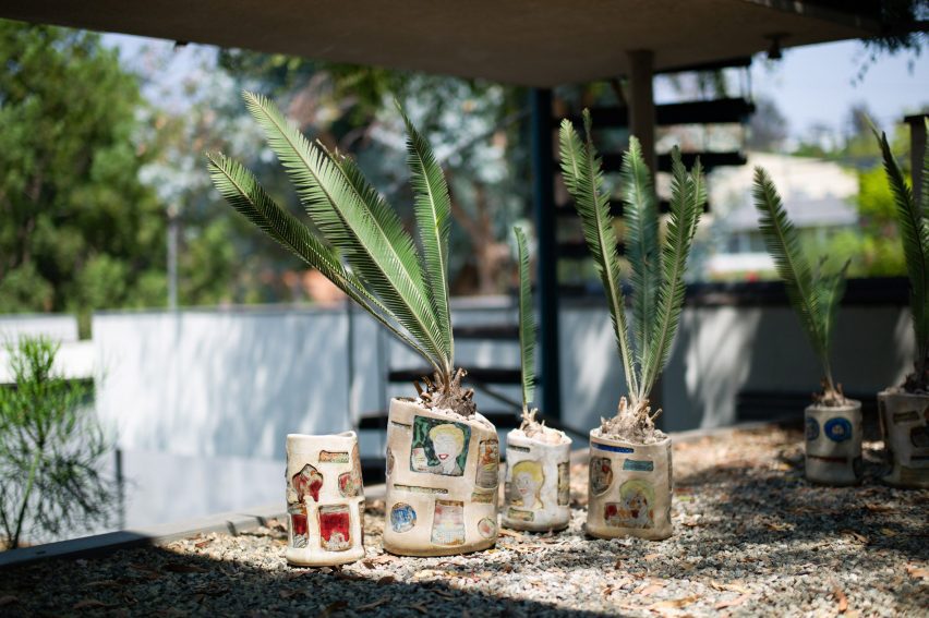 Plant pots with Campbell's soup brand imagery