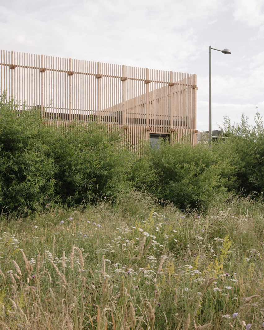 Plants in front of Construction Skills School by EBBA Architects