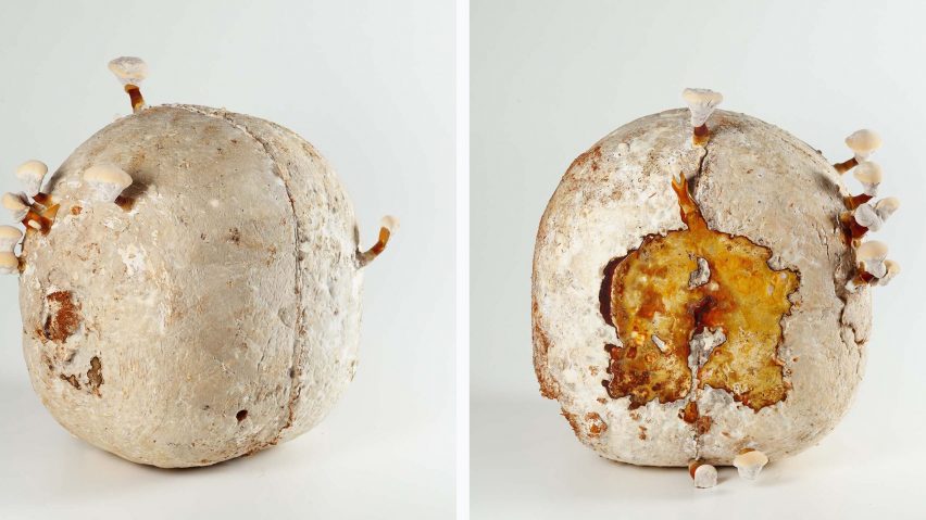RUM_A by Clara Acioli from Driving the Human: 21 visions for Eco-social Renewal exhibition