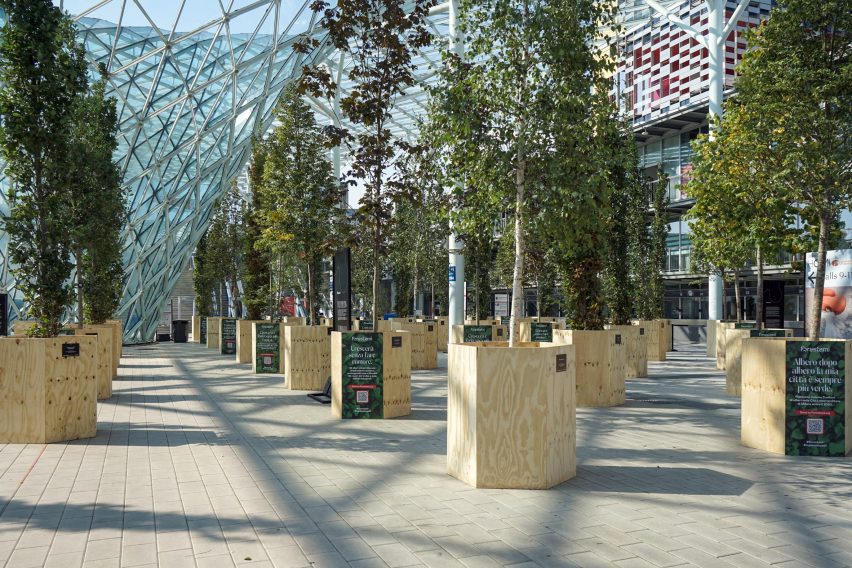 Temporary forest at Milan's Supersalone