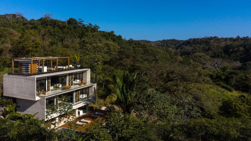 Guarumo building amongst the jungle