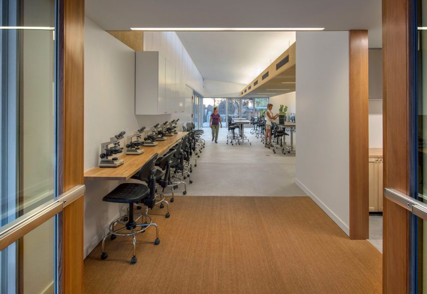 Hazel Hare Center 180 Degrees Colab Studio