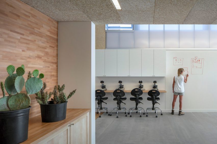Hazel Hare Center 180 Degrees Colab Studio