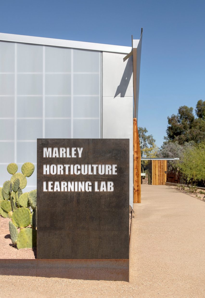 Hazel Hare Center 180 Degrees Colab Studio