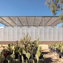 Hazel Hare Center 180 Degrees Colab Studio