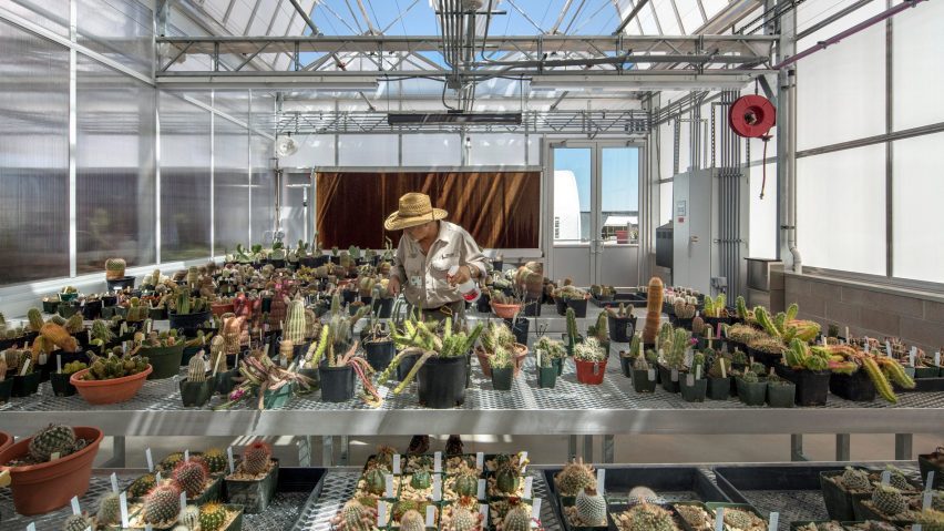 Hazel Hare Center