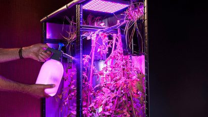 Person misting Warm Earth server system