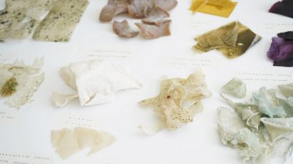 Samples of materials for the Bachelor of Design course at IE University