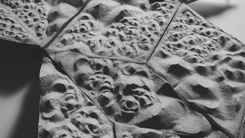 A black and white, zoomed in image of a highly textured surface