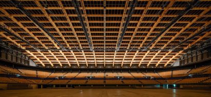 Larch arch-shaped roof