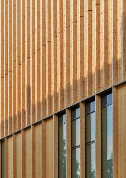 Timber cladding