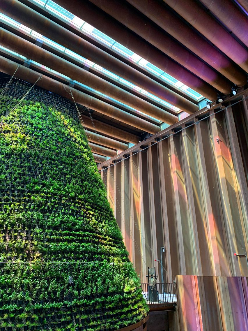 Coloured light fills a timber room around a vertical garden