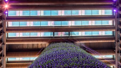 Solar panels by Marjane van Aubel on the Dutch Biotope pavilion at Expo 2020 Dubai