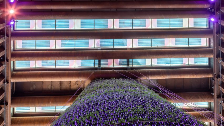 Solar panels by Marjane van Aubel on the Dutch Biotope pavilion at Expo 2020 Dubai