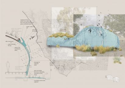 An illustration of a project intending to increase biodiversity