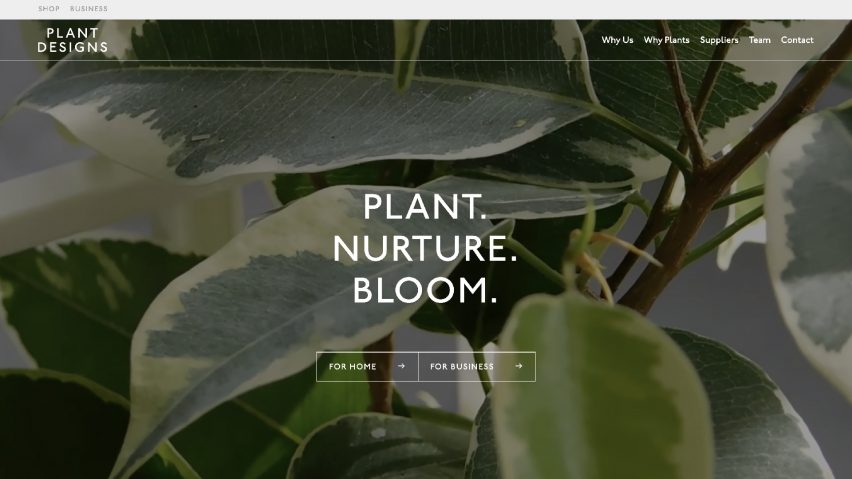 Plant Designs by Kaleido Grafik