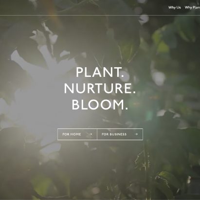 Plant Designs by Kaleido Grafik