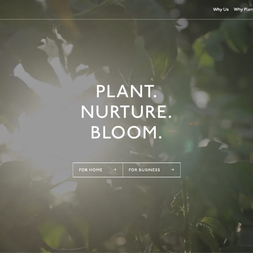 Plant Designs by Kaleido Grafik