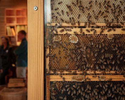 Bees in The Beezantium by Invisible Studio at The Newt in Somerset