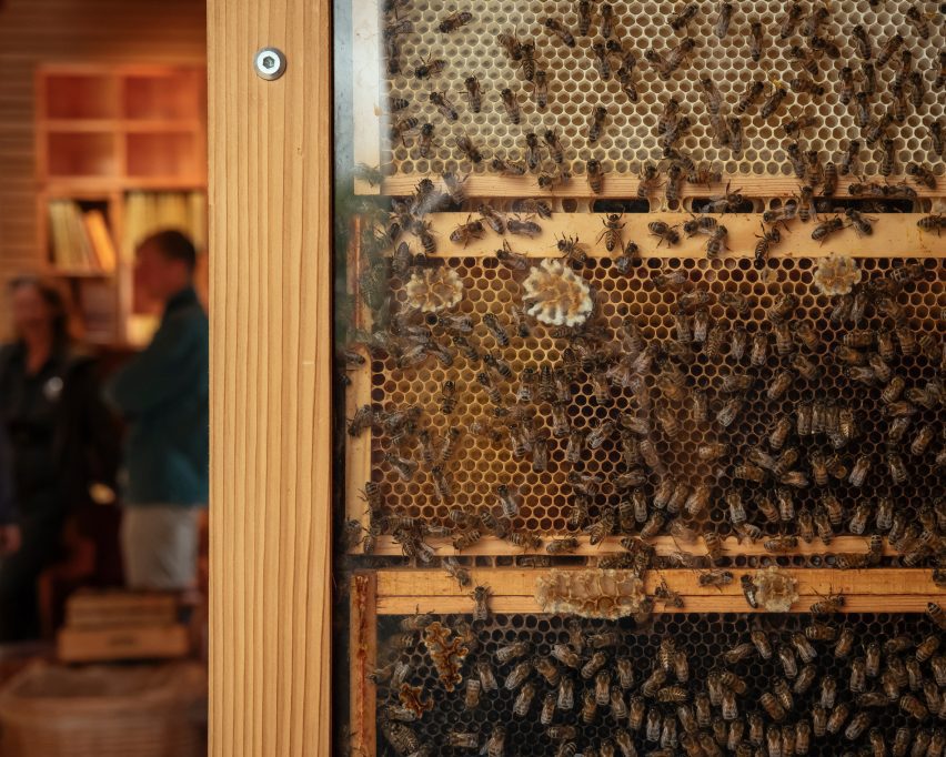 Bees in The Beezantium by Invisible Studio at The Newt in Somerset