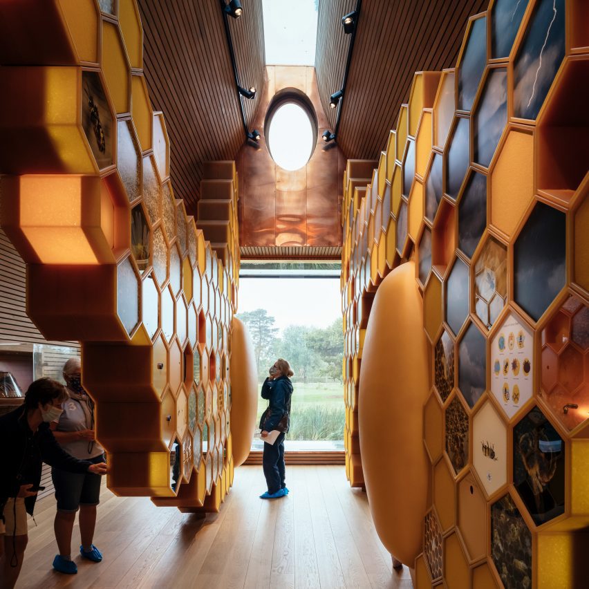 Roof window in The Beezantium by Invisible Studio at The Newt in Somerset