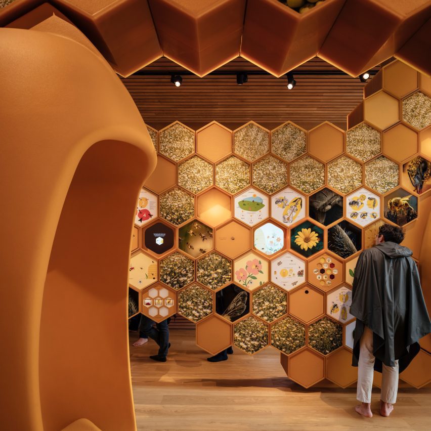 Exhibition design for The Beezantium by Invisible Studio at The Newt in Somerset