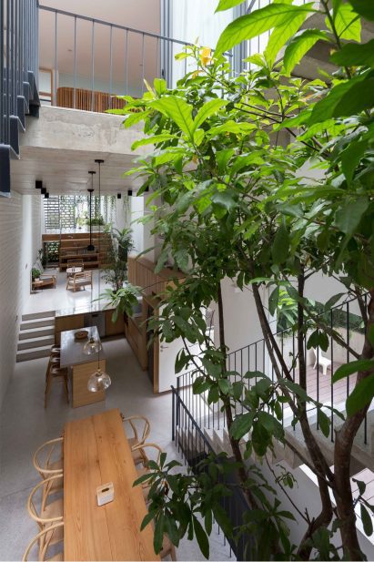 Trees inside CH House by ODDO Architects