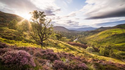 The Natural Capital Laboratory, Scotland